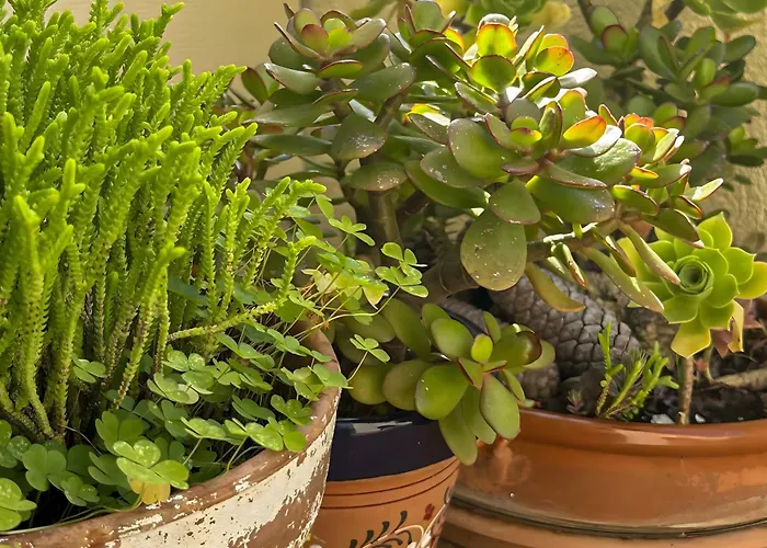 Appartamento Lets Holidays 1 Min To The 2 *