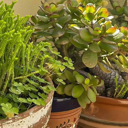 Apartment Lets Holidays 1 Min To The 2 *